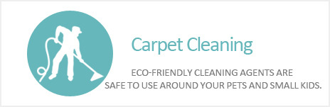 Carpets Steam Cleaning
